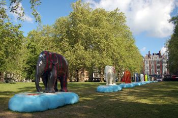 Elephant_Parade,_Green_Park,_London_(4655933530)