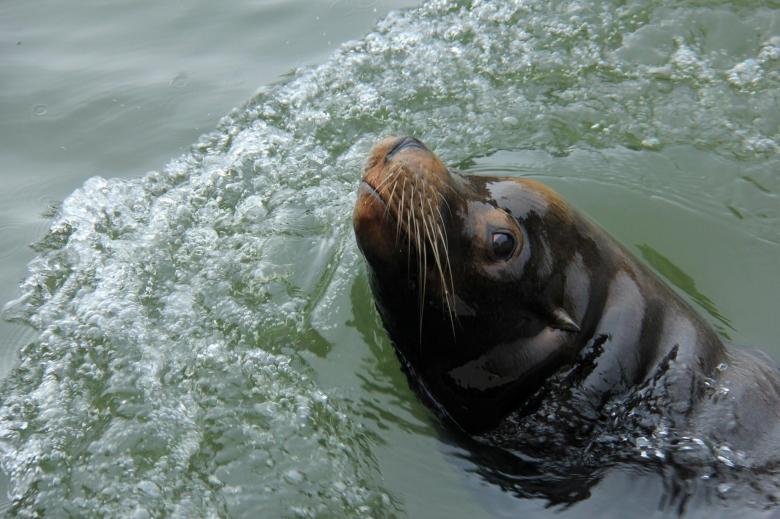 Photo credit: Karen Roe via CC BY 2.0