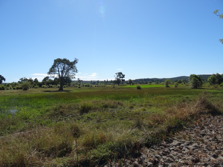 Drought and flooding can have huge impacts on agricultural landscapes and, consequently, human health. Western Madagascar, author’s own (© Joseph J. Bailey).