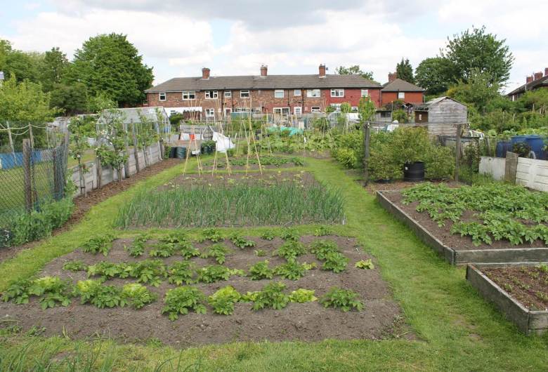 LP allotment pic.jpg