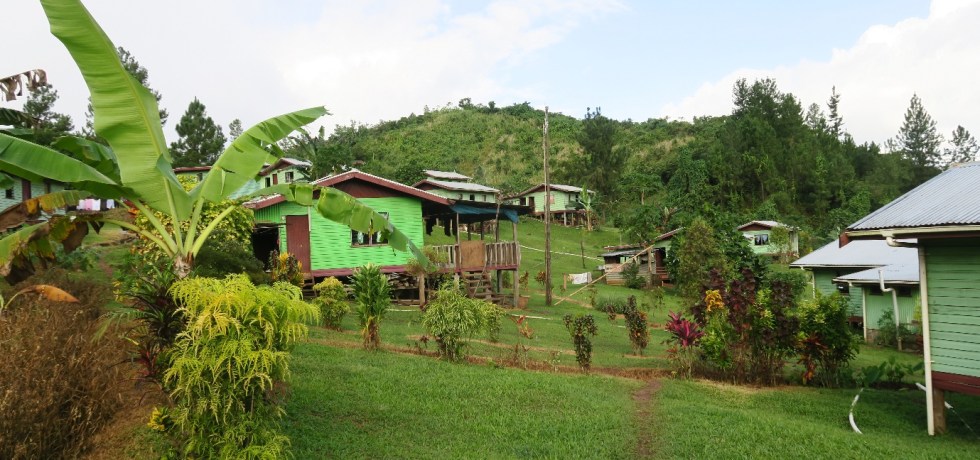 Vunidogoloa village, their new site of relocation (Image: Celia McMichael, 2019)