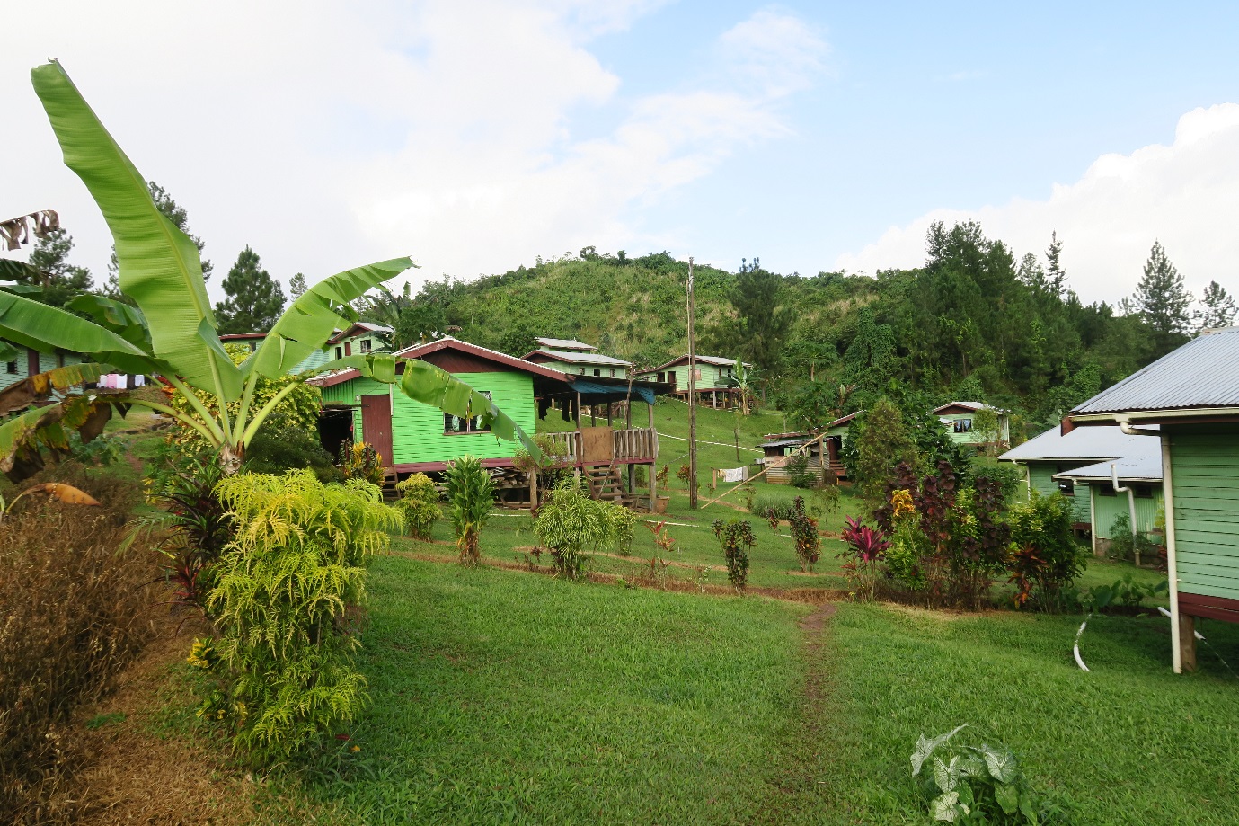 Vunidogoloa village, their new site of relocation (Image: Celia McMichael, 2019)